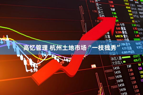 高忆管理 杭州土地市场“一枝独秀”