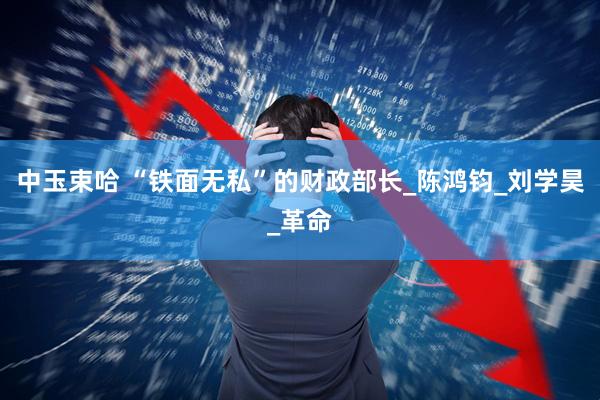 中玉束哈 “铁面无私”的财政部长_陈鸿钧_刘学昊_革命
