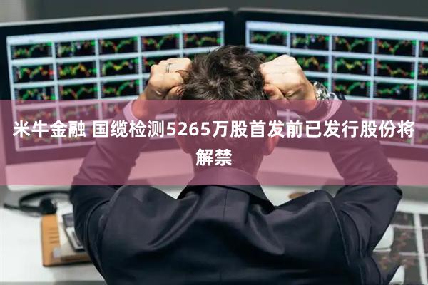 米牛金融 国缆检测5265万股首发前已发行股份将解禁