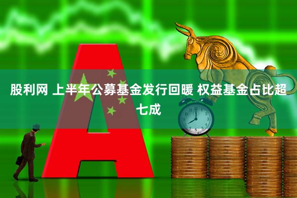 股利网 上半年公募基金发行回暖 权益基金占比超七成
