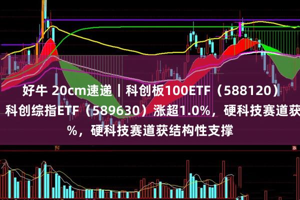 好牛 20cm速递｜科创板100ETF（588120）涨超1.1%，科创综指ETF（589630）涨超1.0%，硬科技赛道获结构性支撑