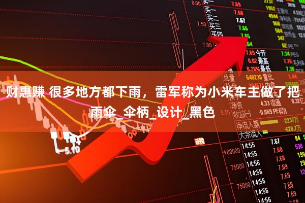 财惠赚 很多地方都下雨，雷军称为小米车主做了把雨伞_伞柄_设计_黑色